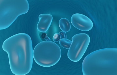 2023 IVB Shenzhen Summit — Focus on Gene & Cell Therapy and Nucleic Acid Drugs