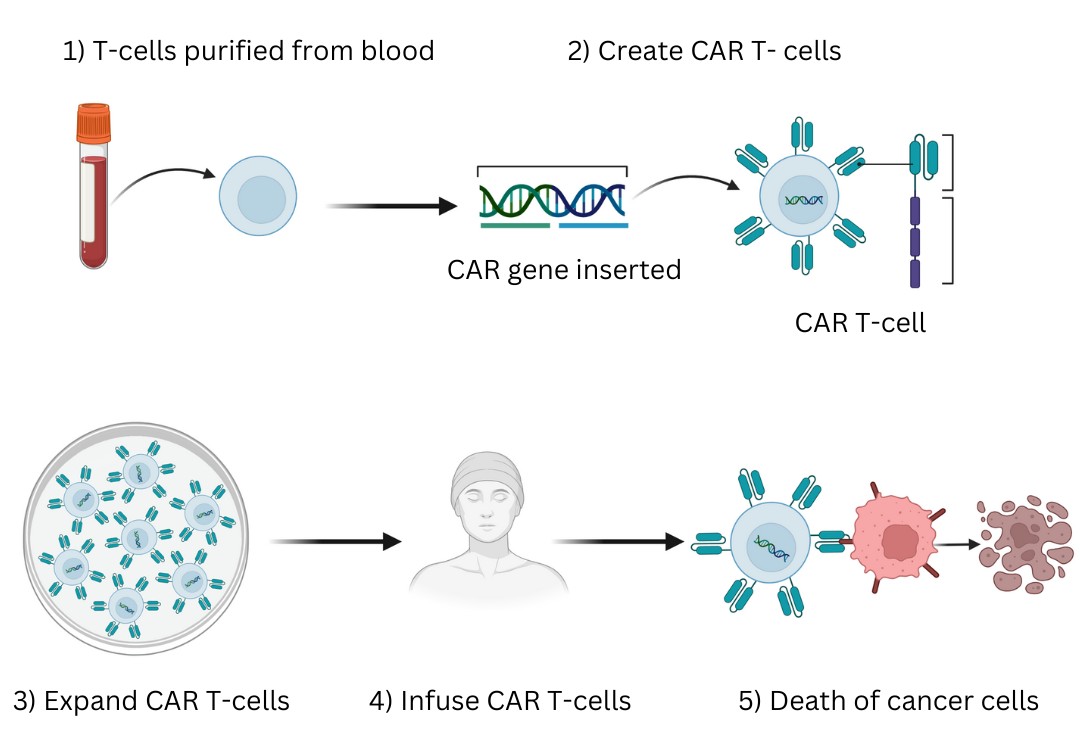 Discover CAR-T Therapy